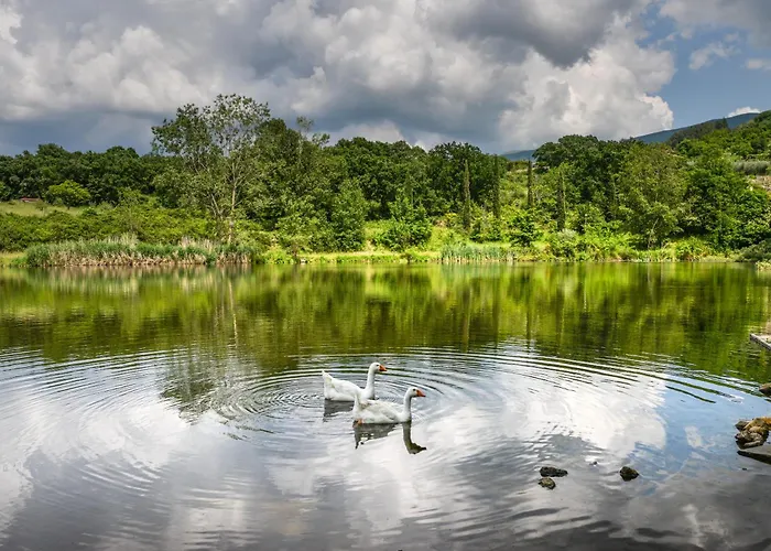 3 Pasqua E Primavera Nella Natura - Rustico Privato - Wifi - Parcheggio Gratuito - Nuova Gestione