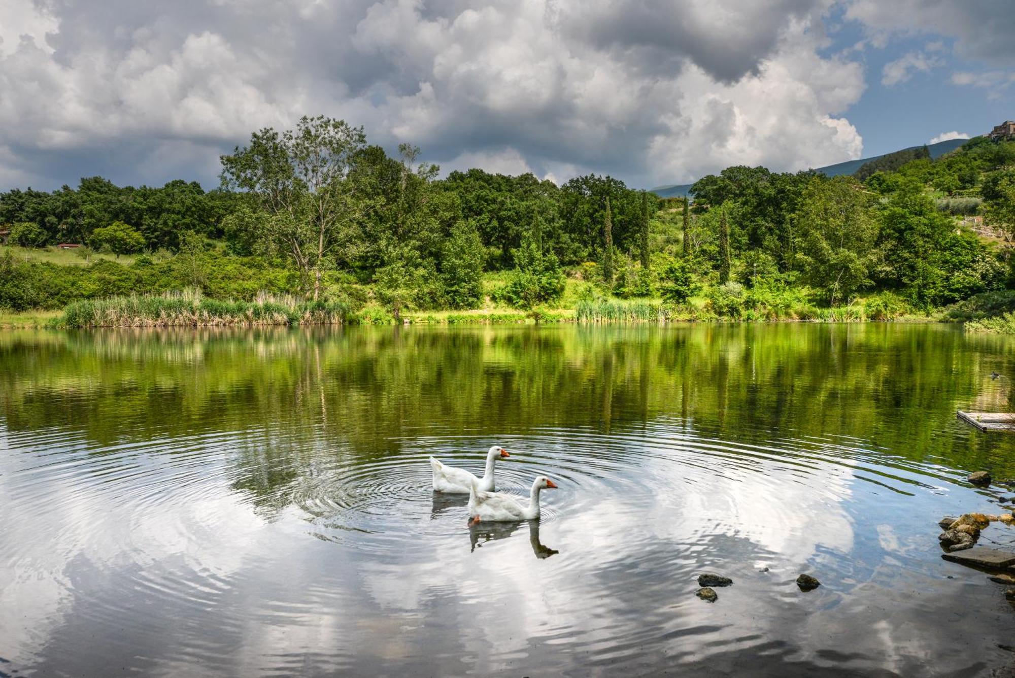 3 Pasqua E Primavera Nella Natura - Rustico Privato - Wifi - Parcheggio Gratuito - Nuova Gestione Apartment Castel del Piano (Tuscany)